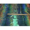 NEW CREATIONS FABRIC AND FOAM INC GREEN IRIDESCENT DRAGON SCALES