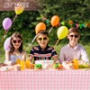 Vedran 4 Pack Pink Gingham Tablecloth Decorations, Pink and White