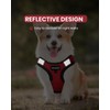 FAYOGOO Service Dog Vest for Small Breed - Lightweight Dog