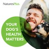 Natures Plus FurBaby Digestive Support for Dogs - 7.4 oz