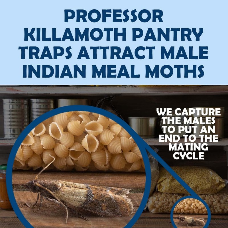Professor Killamoth Pantry Moth Traps 6 Pack | New Blue