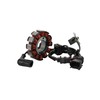 STATOOK Magneto Stator 12 Coil Compatible with GTS150 Dirt Pit