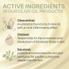 Medipharma Cosmetics Cosmetics Olive Oil Intensive Cream Rose Eye Cream