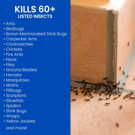 BioAdvanced Home Pest Control Indoor & Outdoor Insect Killer, Ready-to-Use, 1 Gal