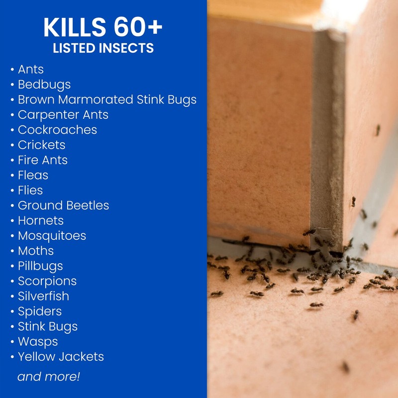 BioAdvanced Home Pest Control Indoor & Outdoor Insect Killer, Ready-to-Use,