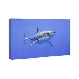Wynwood Studio Animals Contemporary Wrapped Canvas Art - David Fleetham - Great White Shark, Wall Art for Living Room, Bedroom, and Bathroom, 36" x 24", Blue and Gray Home Decor