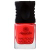 alessandro Nail Polish 14 Orange Red 10 ml (Pack of