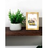 Annecy 9x12 Picture Frames (4 Pack, Gold), Composite Wood Photo