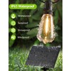 Larkvue 48FT Solar Outdoor String Lights with Remote & Timer,