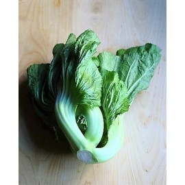 American Seed 1000+ Shuidong Mustard, Oriental  , Gai Choi, Brassica Juncea,Cải  dưa chua 2025