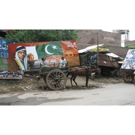 Der Weg nach Mekka - Die Reise des Muhammad Asad