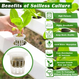 Anglecai 100 Pcs Rockwool Cube for Hydroponics with Net Pot, 50P 1Inch Rockwool Stonewool Plug & 50P 1.5Inch Net Cup for Seed Starter Soilless, Hydroponics, Plant Germination Start (Transparent)