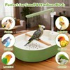 Lonepetu Automatic Parakeet Bird Bath Shower, Quiet Circulating Parrot Bathtub