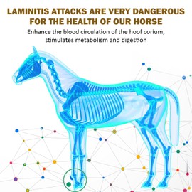 V-POINT - Laminitis Ease - hoof Supplements for Horses - Horse hoof Care Product Based on Natural Herbal Powder - Ideal for Hooves Health and Conditioning (1.0 lb)