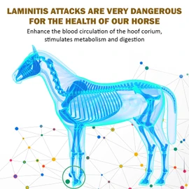 V-POINT - Laminitis Ease - hoof Supplements for Horses - Horse hoof Care Product Based on Natural Herbal Powder - Ideal for Hooves Health and Conditioning (1.0 lb)