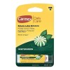 Balsamo Labial Hidratante Carmex Wintergreen 4.25 G