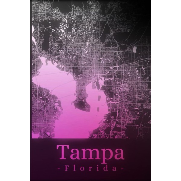 Tampa Florida: Your city, your region, your home! | Composition