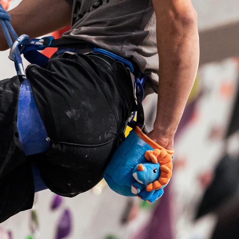 Chalkbag dinosaur for rock climbing
