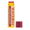 Burt's Bees Replenishing lip balm with pomegranate oil by Burt's