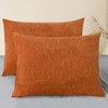 CaliTime Fall Throw Pillow Covers Decorative 20 X 26 Inches