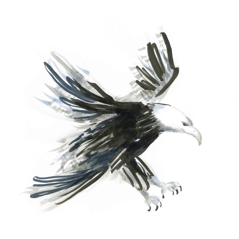 Faber-Castell Pitt Artist Soft Brush Pen - Dark Indigo