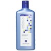 Andalou Naturals Argan Stem Cell Age Defying Shampoo, 11.5 Ounce