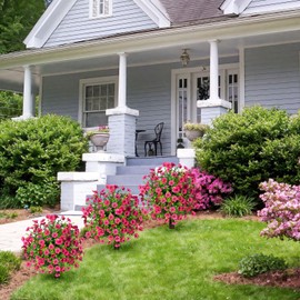 2 Pack 23.6" Artificial Boxwood Topiary Ball Trees with Ground Spike, UV Resistant Faux Outdoor Shrubs & Bushes for Porch, Garden, Front Yard Decor - Indoor/Outdoor Plants