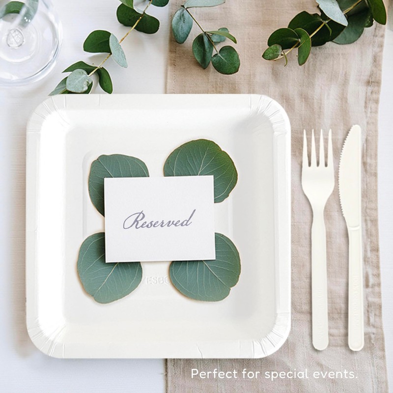 yesbox Paper Plates 10 Inch - Heavy Duty Biodegradable Disposable