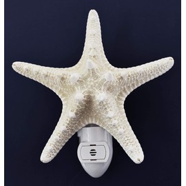 Seashell Night Light Real White Starfish Beach Decor w. Light Sensor Beautiful Coastal Cottage