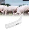 Fast Clinical Digital Thermometer Pet Animals Dogs Cats Birds Livestock