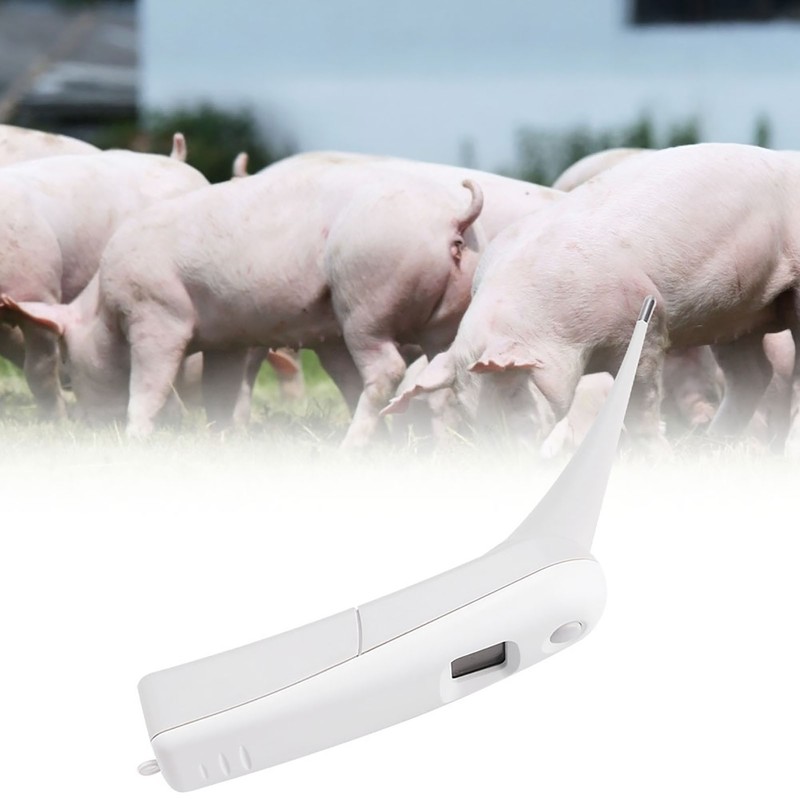 Fast Clinical Digital Thermometer Pet Animals Dogs Cats Birds Livestock