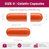 Empty gelatin Capsules Size 0 - (100 Count) Empty Capsules