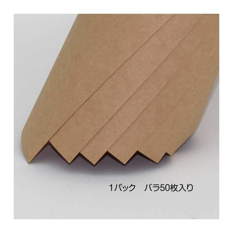 SAKAEテクニカルペーパー クラフトペーパー A4 50枚 特厚口 ブラウン FKB-A4-BR