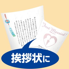 コクヨ コピー用紙 カラーレーザー インクジェット 和紙 薄口 KPC-W1110