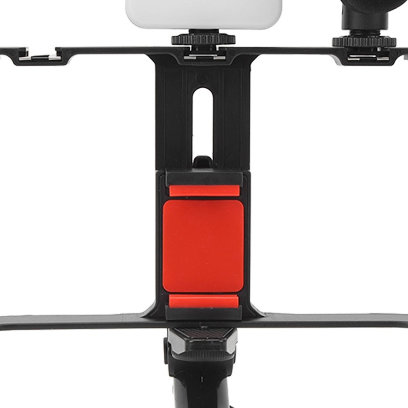 Phone Live Streaming Kit with Fill Light Microphone Sound Cable