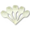 5 x 30cc Measuring Spoons