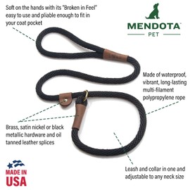 Mendota Pet Slip Leash - Dog Lead and Collar Combo - Made in The USA - Purple, 3/8 in x 6 ft - for Small/Medium Breeds