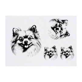 Azeeda 4 x 'Pommerschen' Temporäre Tattoos - Wasserfest, Hautfreundlich & Ungiftig · Transfers in Verschiedenen Größen (TO00080580)