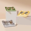 Cat Water Food Bowl 15 Degree Tilt Prevent Spill Stainless