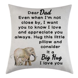 Tihnvk Dad Gift Cushion Cover From Son Daughter Birthday Gift For Father Appreciation Gift For Your Daddy Pillow Cover