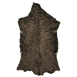 Karakul (Persian Lamb) Hide, Brown, Very Unique