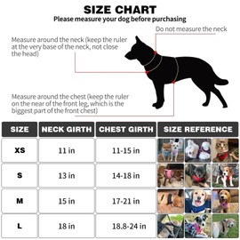 BINGPET Small Dog Harness - Breathable Mesh Puppy Cat Harness - No Pull Adjustable Dog Harness Dog Vest Harness for Small and Medium Dogs