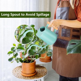 GUKJOB Watering Can Indoor Plants, 35oz Small Watering Can Indoor Stainless Steel Metal Watering Can Modern Decorative Watering Pot with Long Spout for Indoor House Plant Bonsai Outdoor Garden Flowers -Green