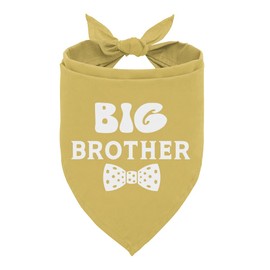 Big Brother Dog Bandanas, Big Brother Bandana for Dog, Dog Big Brother Shirt, Gift for Dog Lover, Birthday Bandana for Small Medium Dog, Gender Reveal Triangle Bibs Accessories, Pet Scarf (B25)