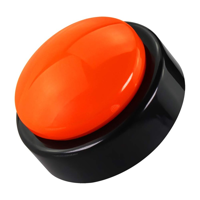 Big Button Timer - time Talking Clock for Blind, Date