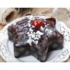 Erre4m Poinsettia Disposable 10 Star Baking Tin 26 x 6