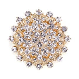 EVER FAITH Women's Austrian Crystal Elegant Flower Leaf Bridal Corsage Brooch Pin Clear Gold-Tone