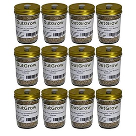 BRF Jars Mushroom Substrate (12 Pack)