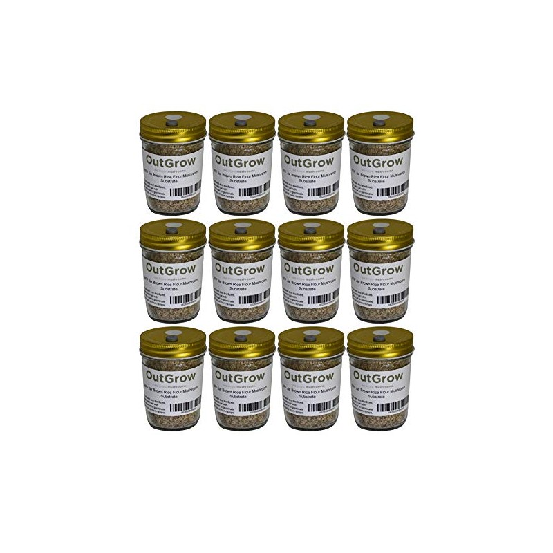 BRF Jars Mushroom Substrate (12 Pack)