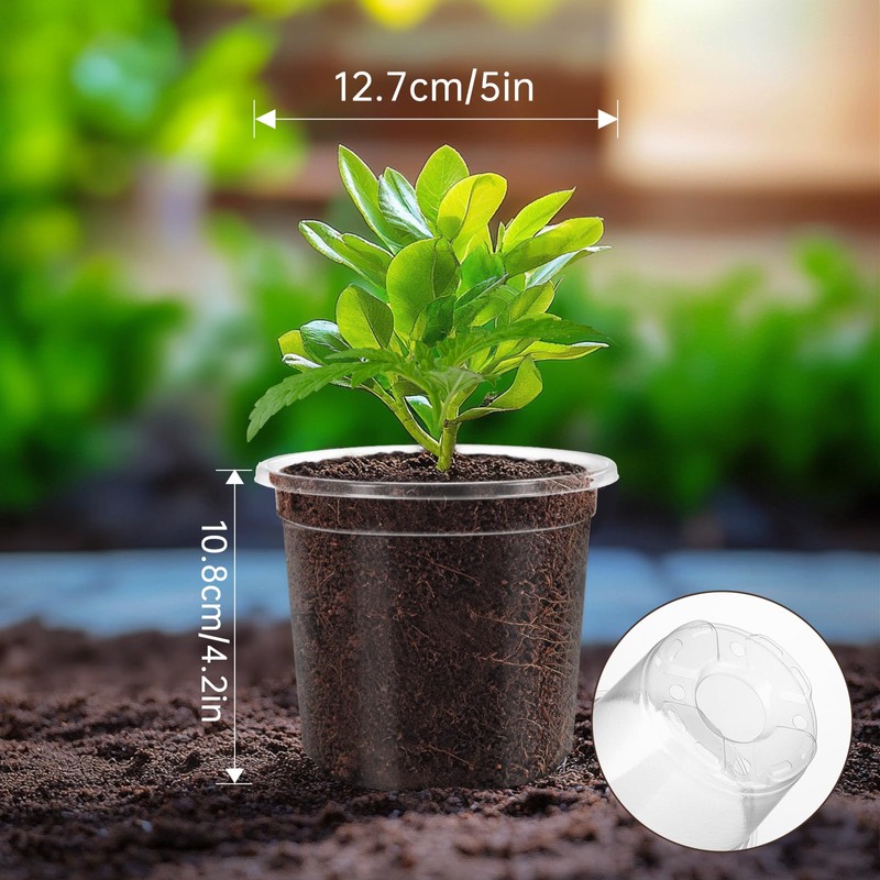 WandaQueen 30 Packs 5 Inch Reinforced Clear Nursery Pots for